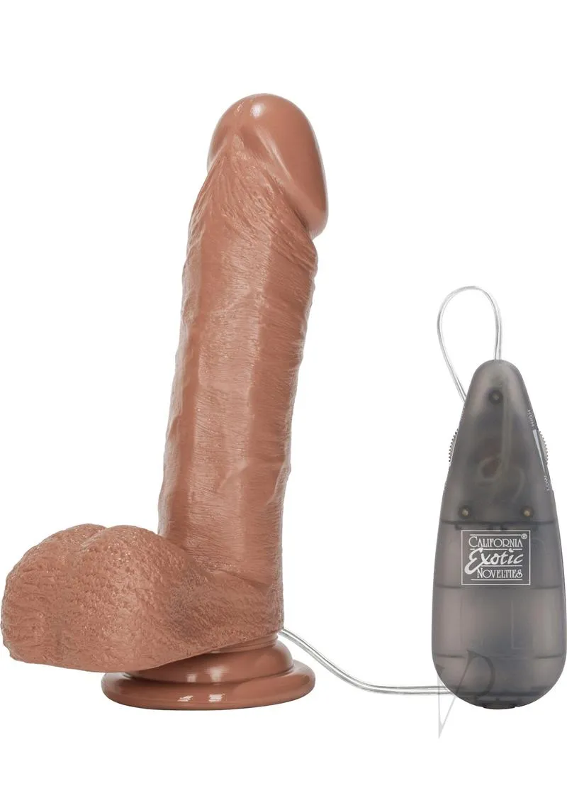 Emperor Brown 6 Ms Vibe