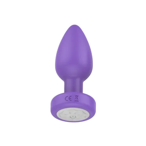Pr17: VIBRATING PLUG W/ REMOTE - PURPLE